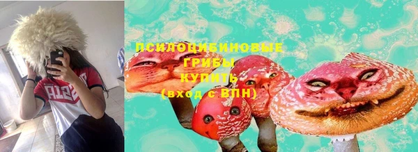 соль курить ск Новозыбков