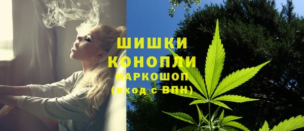 соль курить ск Новозыбков