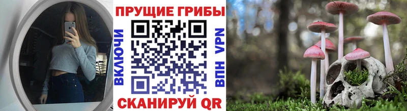 Псилоцибиновые грибы MAGIC MUSHROOMS  mega ONION  Сергач 